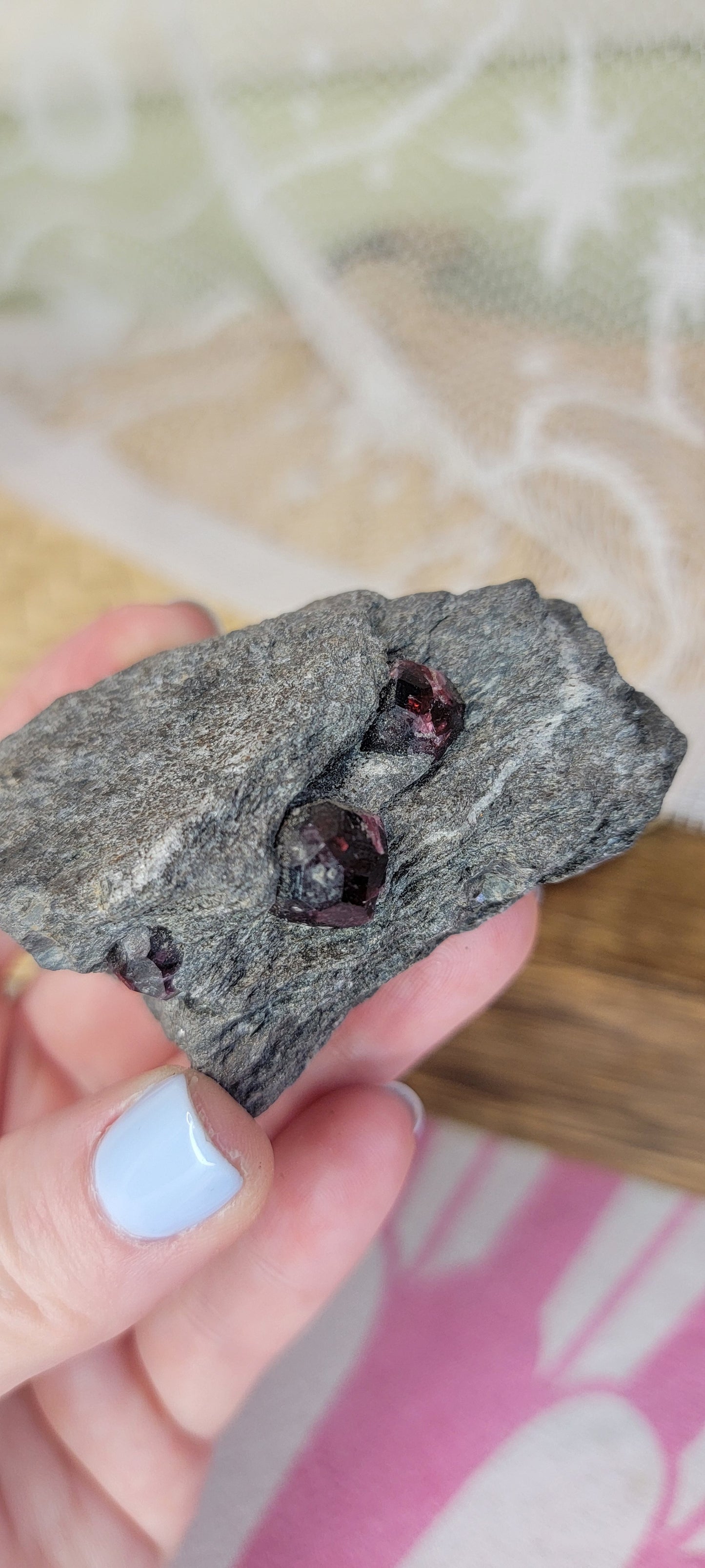 Garnet in the Matrix