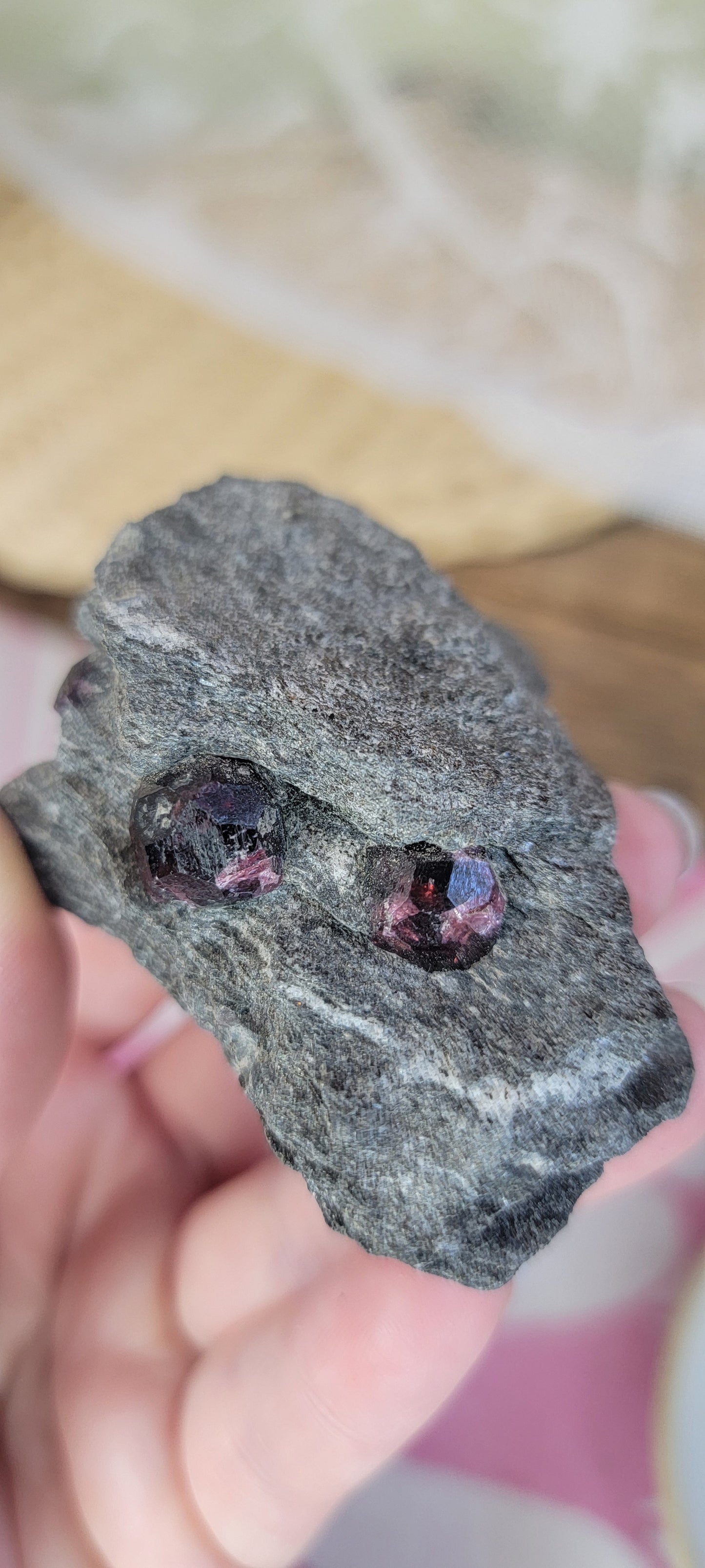 Garnet in the Matrix