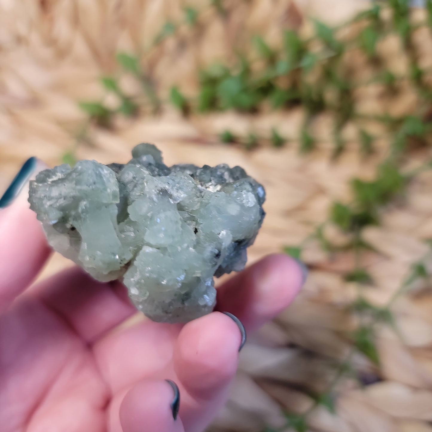 Prehnite with Epidote Cluster Bayside Treasures