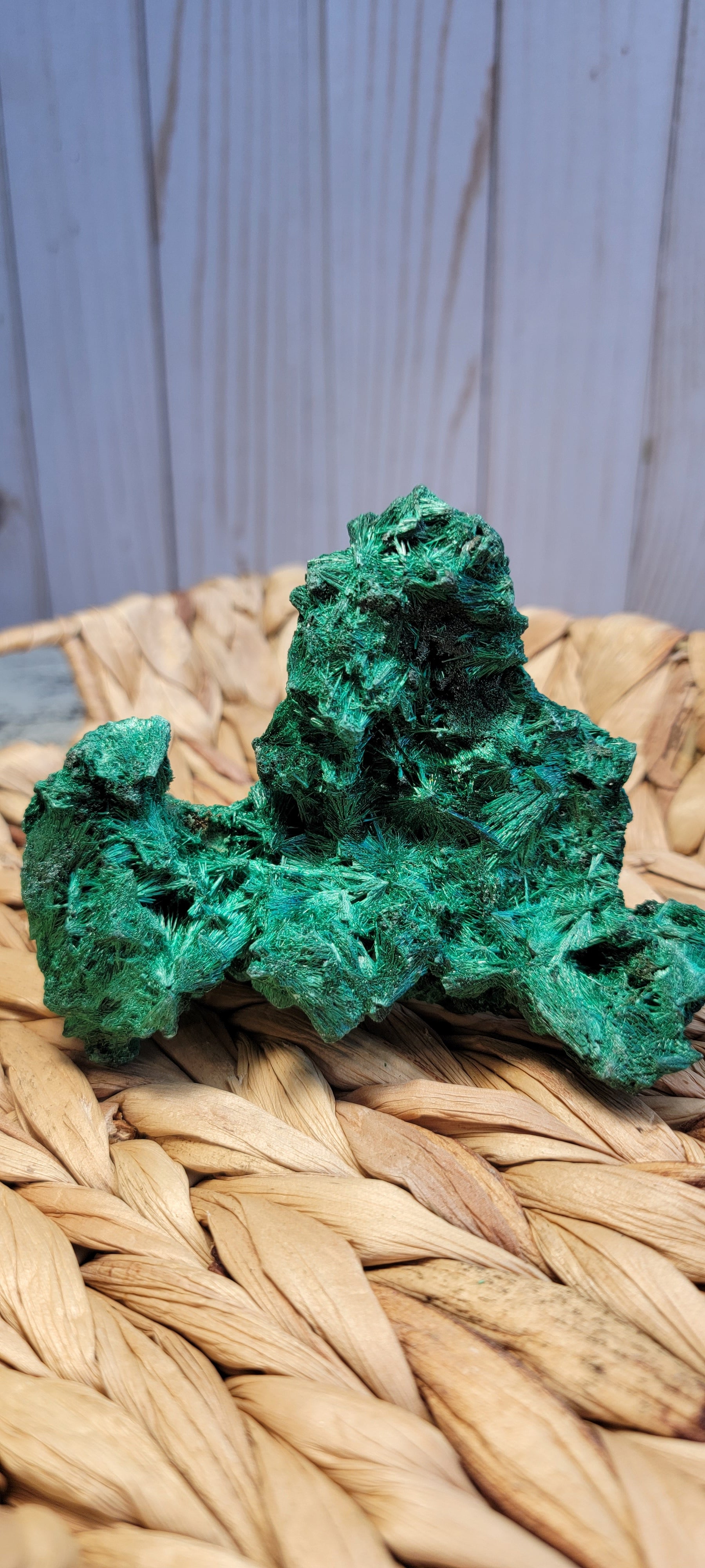 Fibrous Malachite Specimen Bayside Treasures