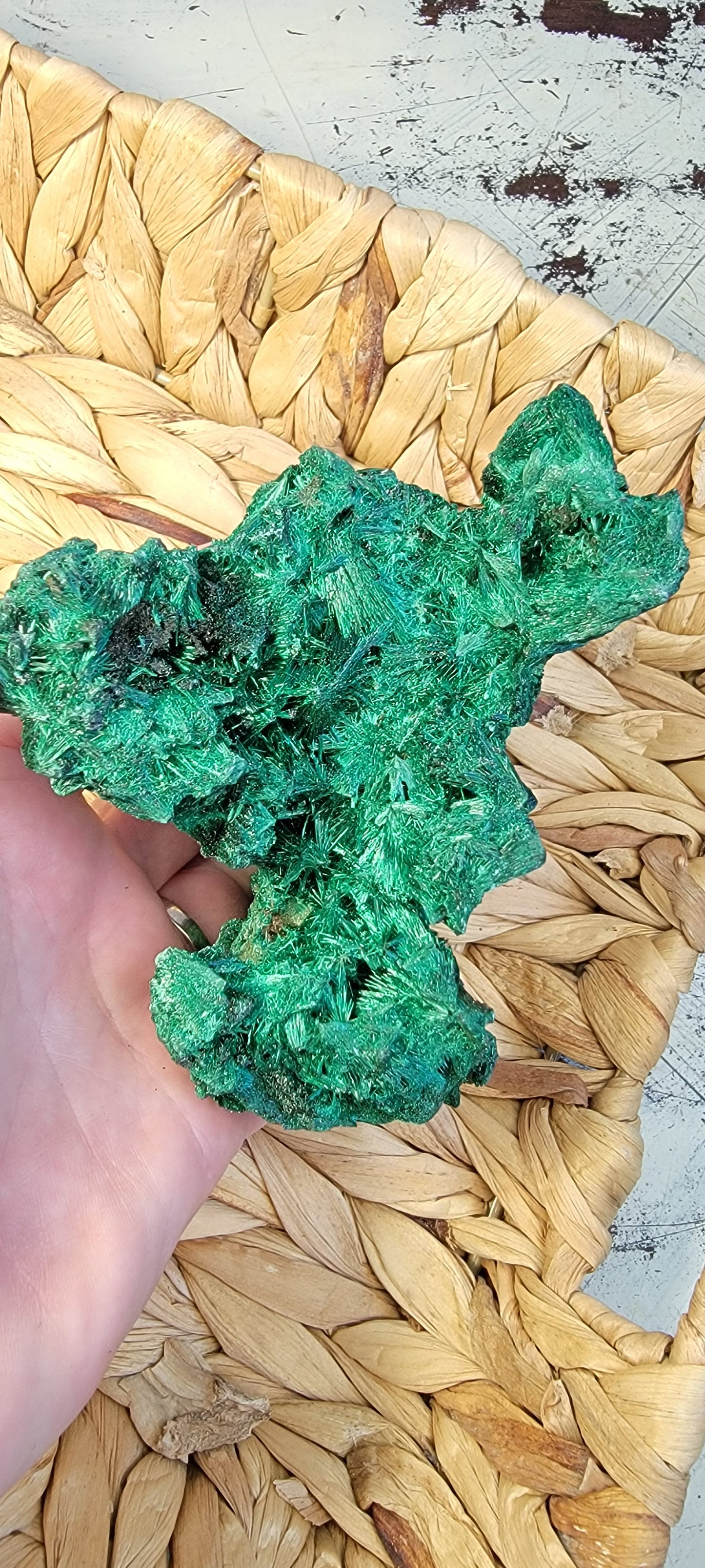 Fibrous Malachite Specimen Bayside Treasures