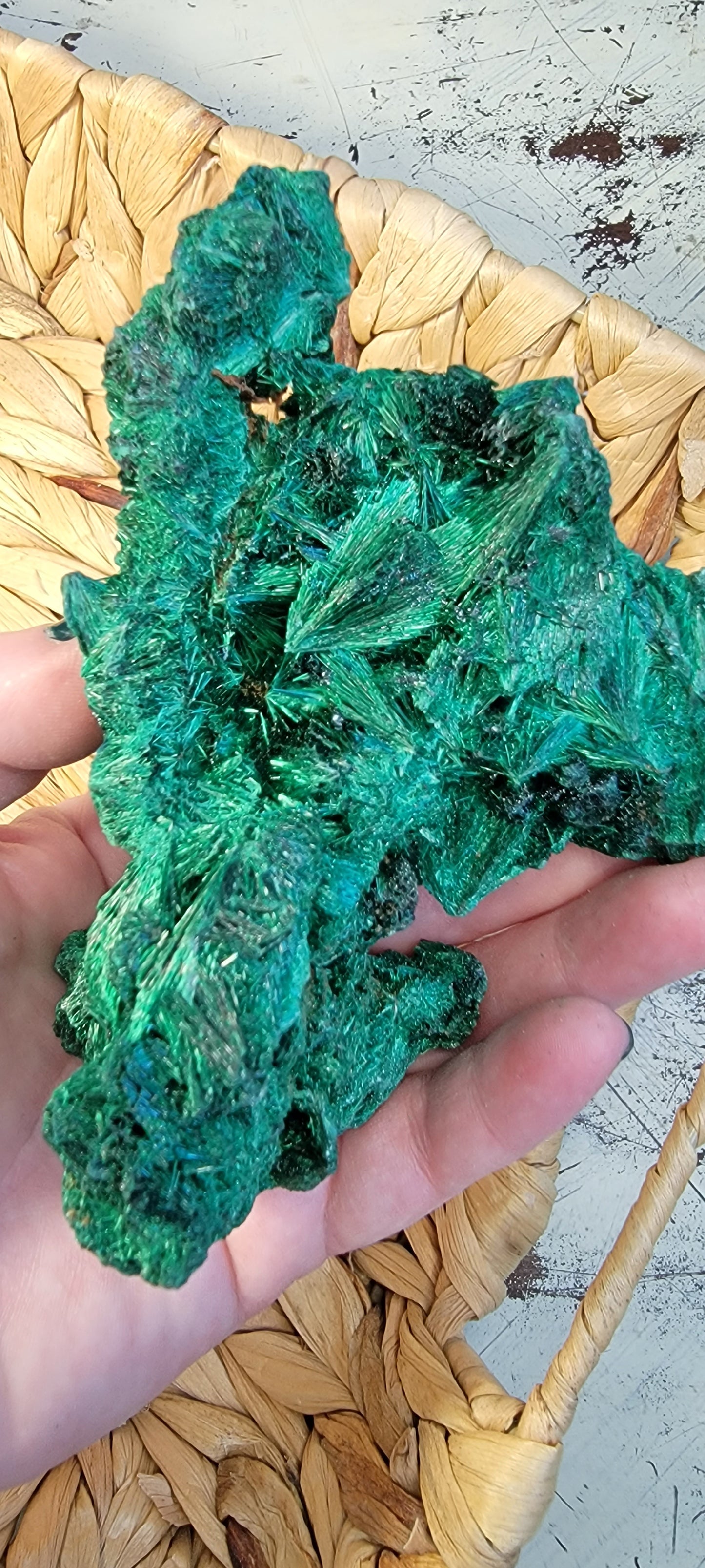 Fibrous Malachite Specimen Bayside Treasures