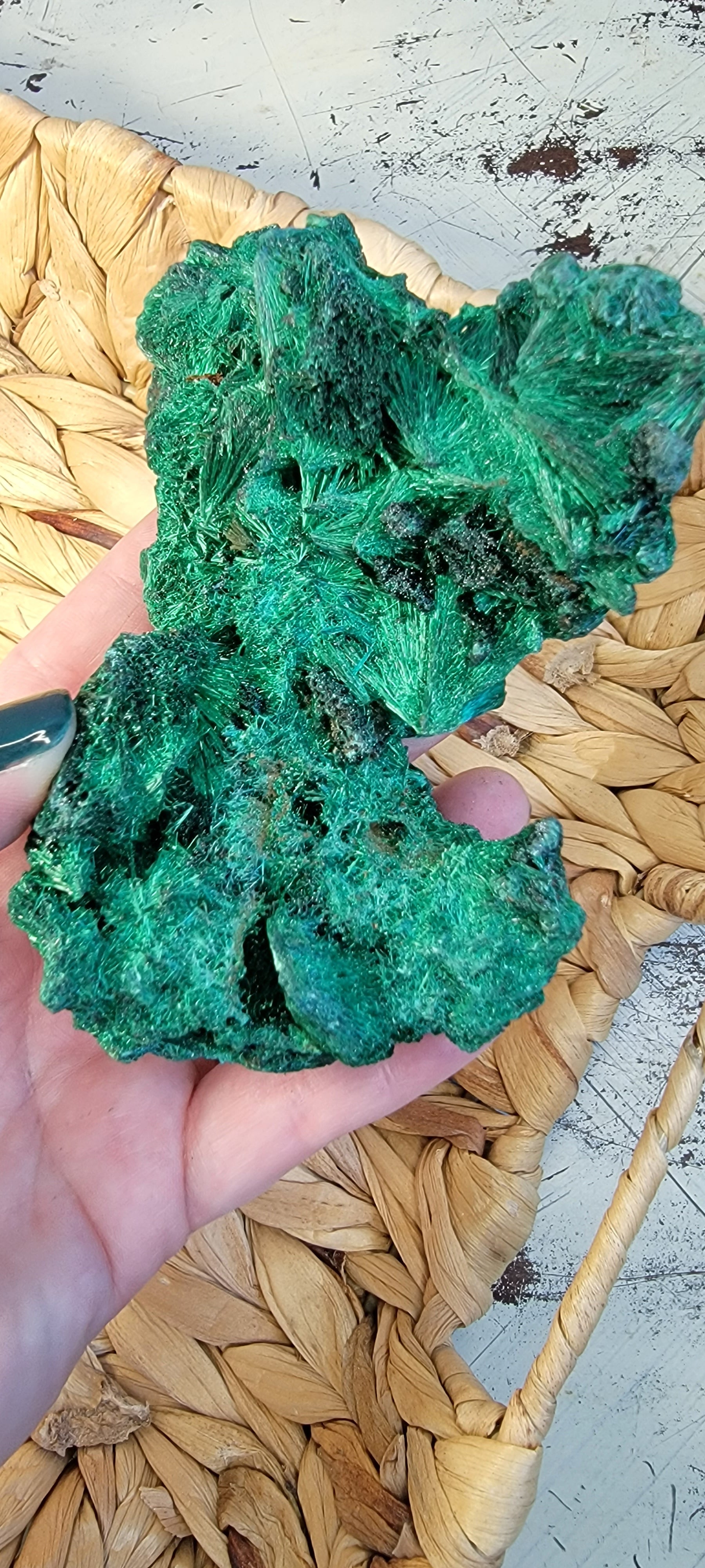 Fibrous Malachite Specimen Bayside Treasures