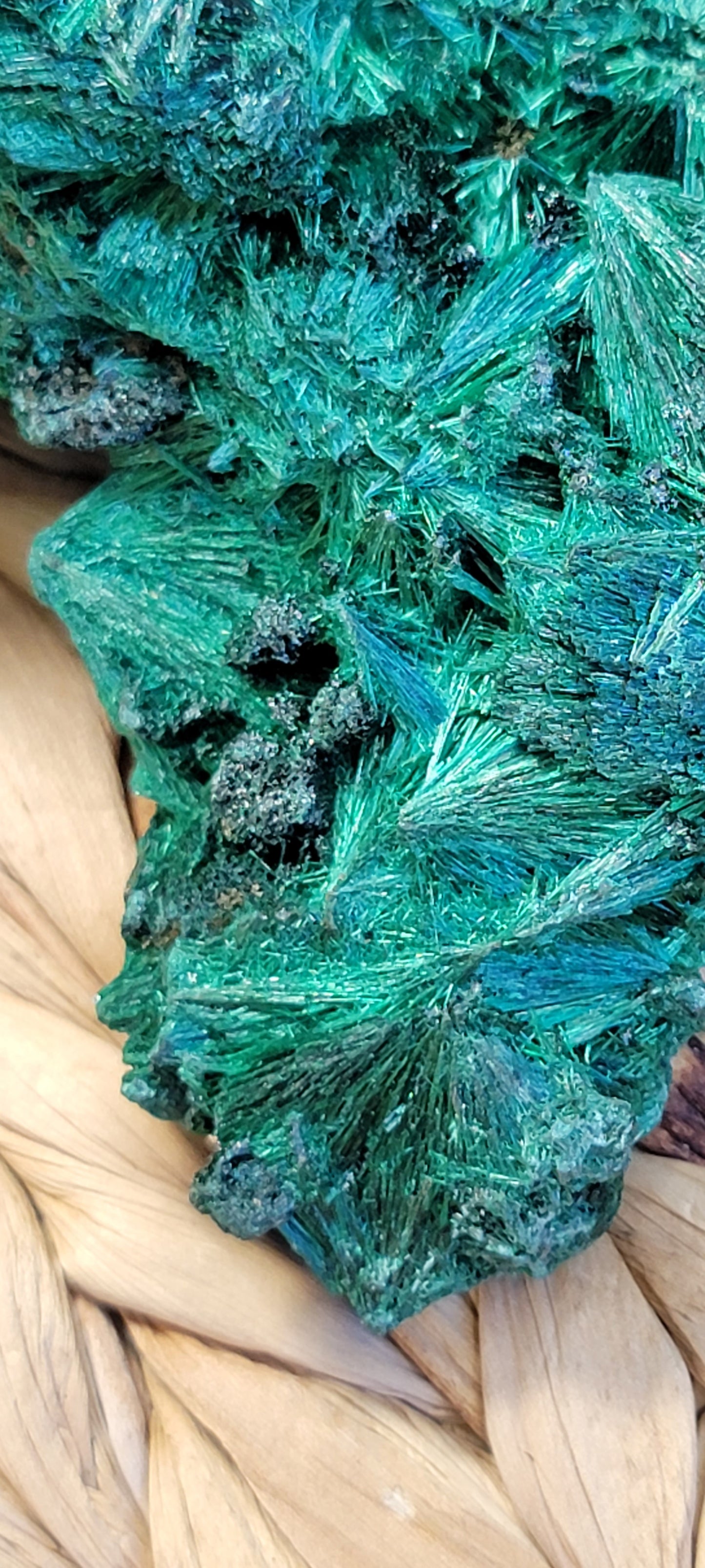 Fibrous Malachite Specimen Bayside Treasures