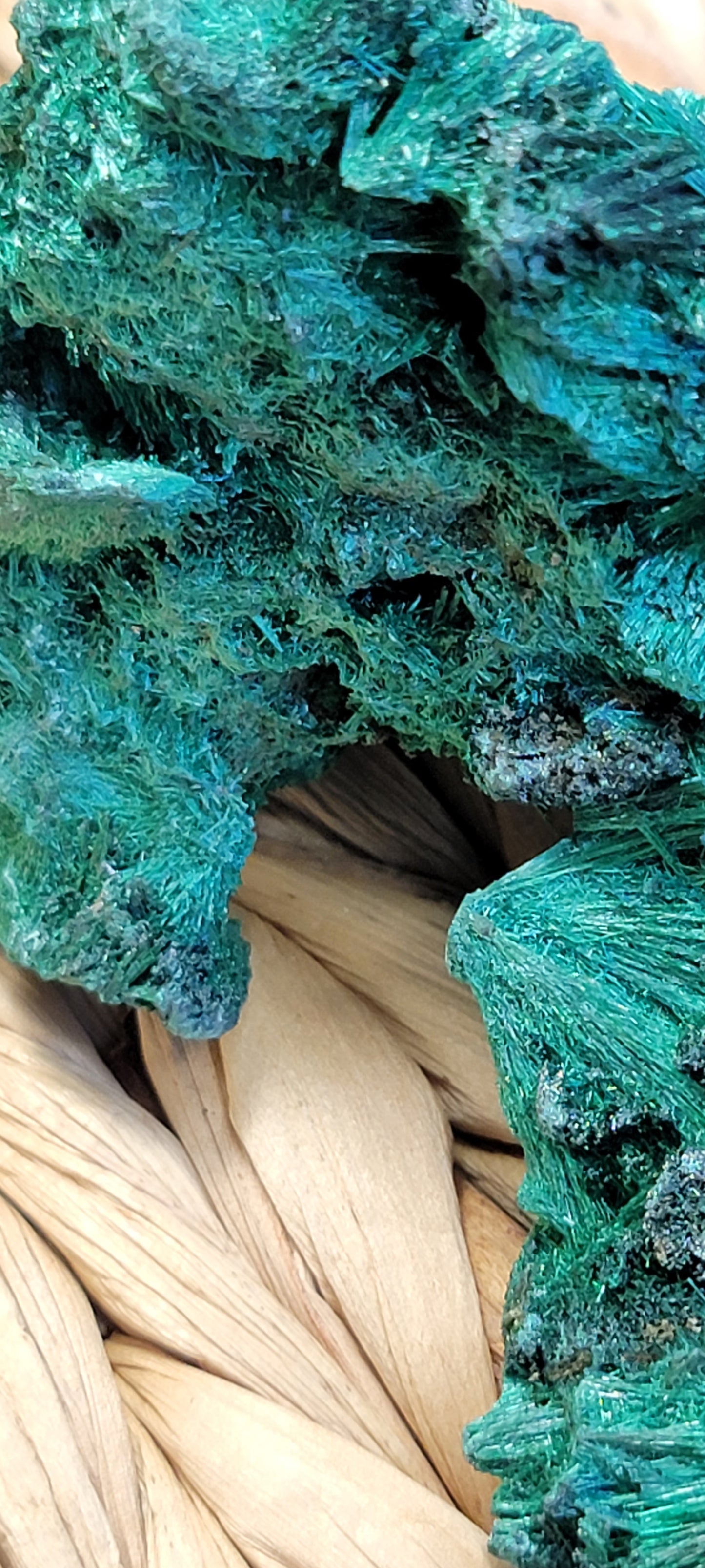 Fibrous Malachite Specimen Bayside Treasures