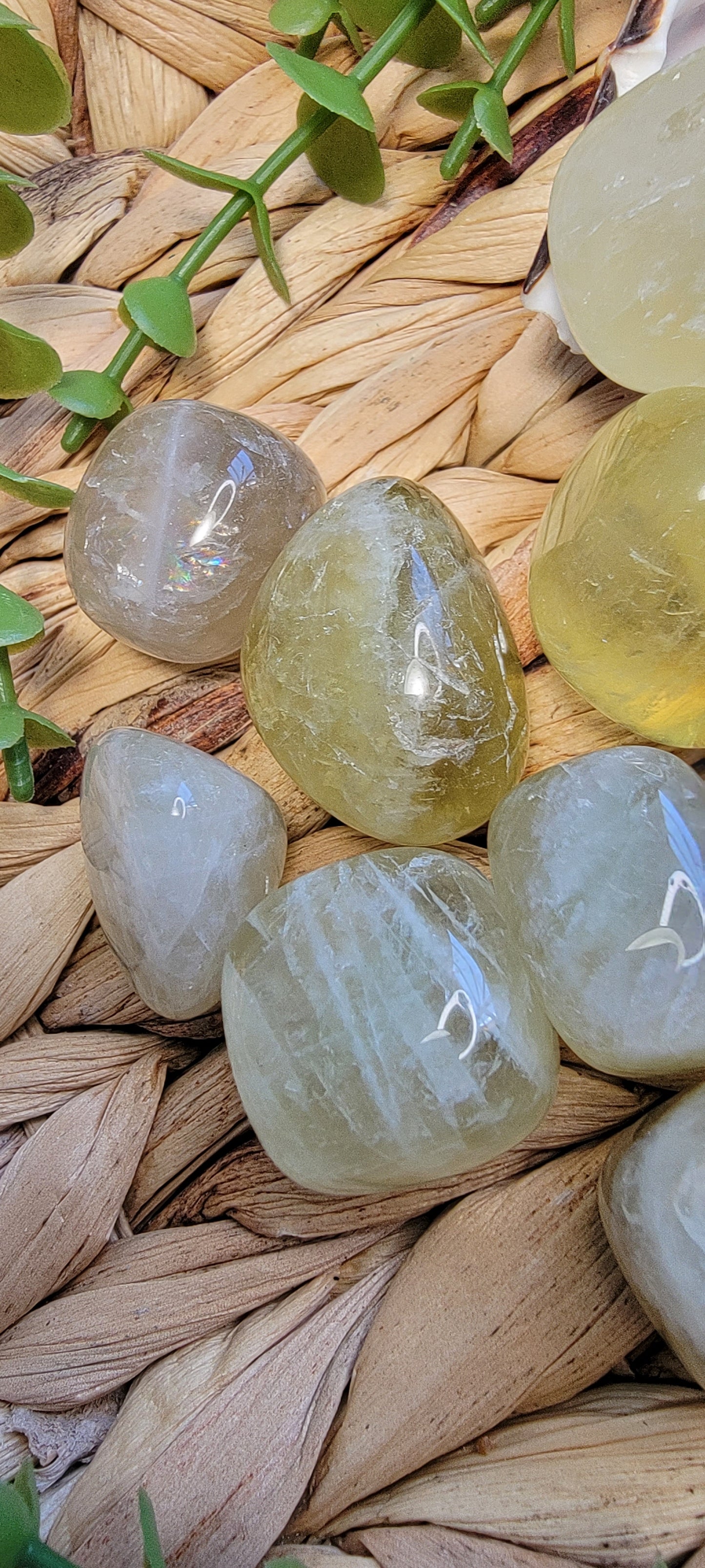 Citrine Tumbles Bayside Treasures