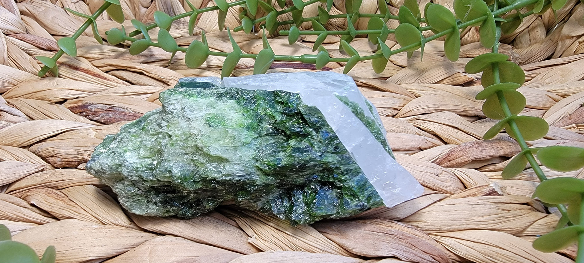 Diopside Specimen Bayside Treasures