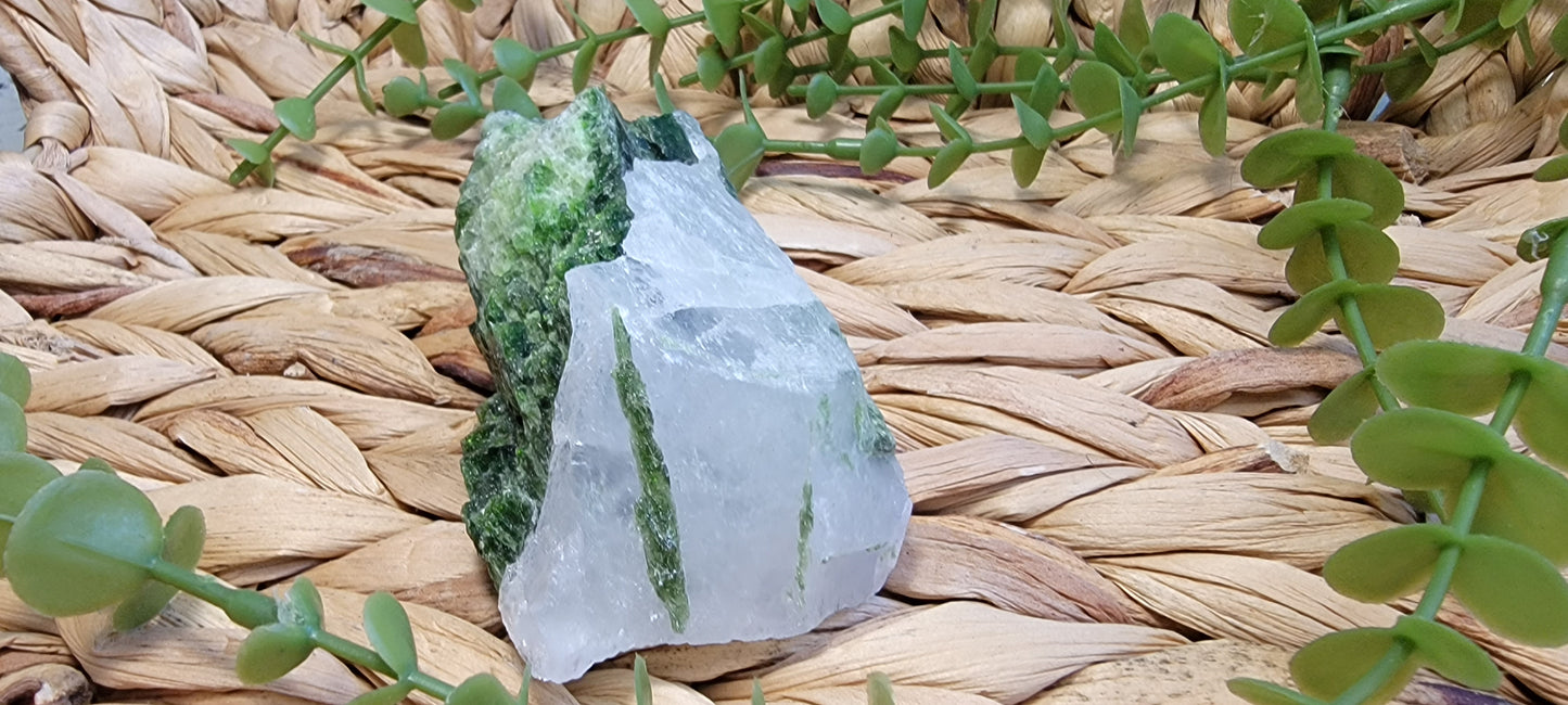 Diopside Specimen Bayside Treasures