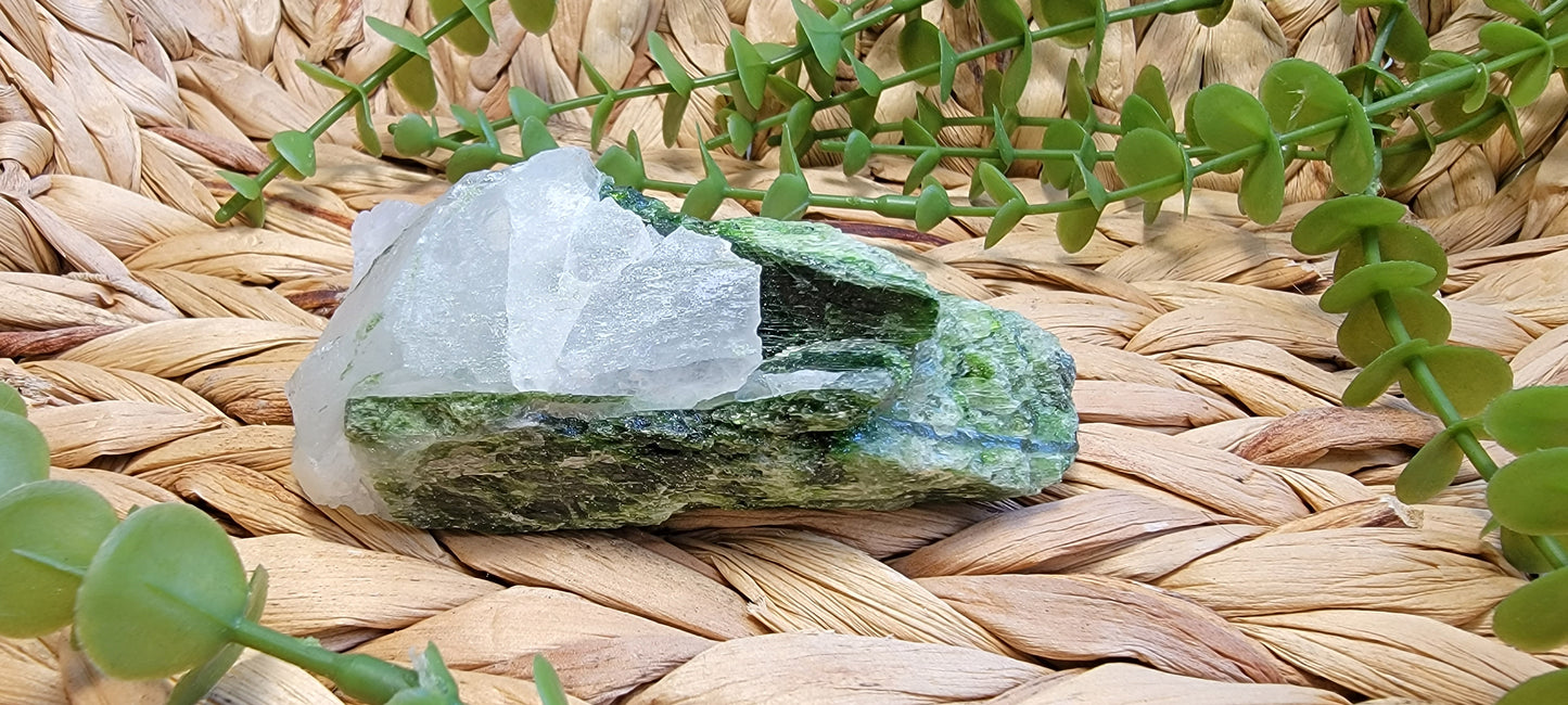 Diopside Specimen Bayside Treasures