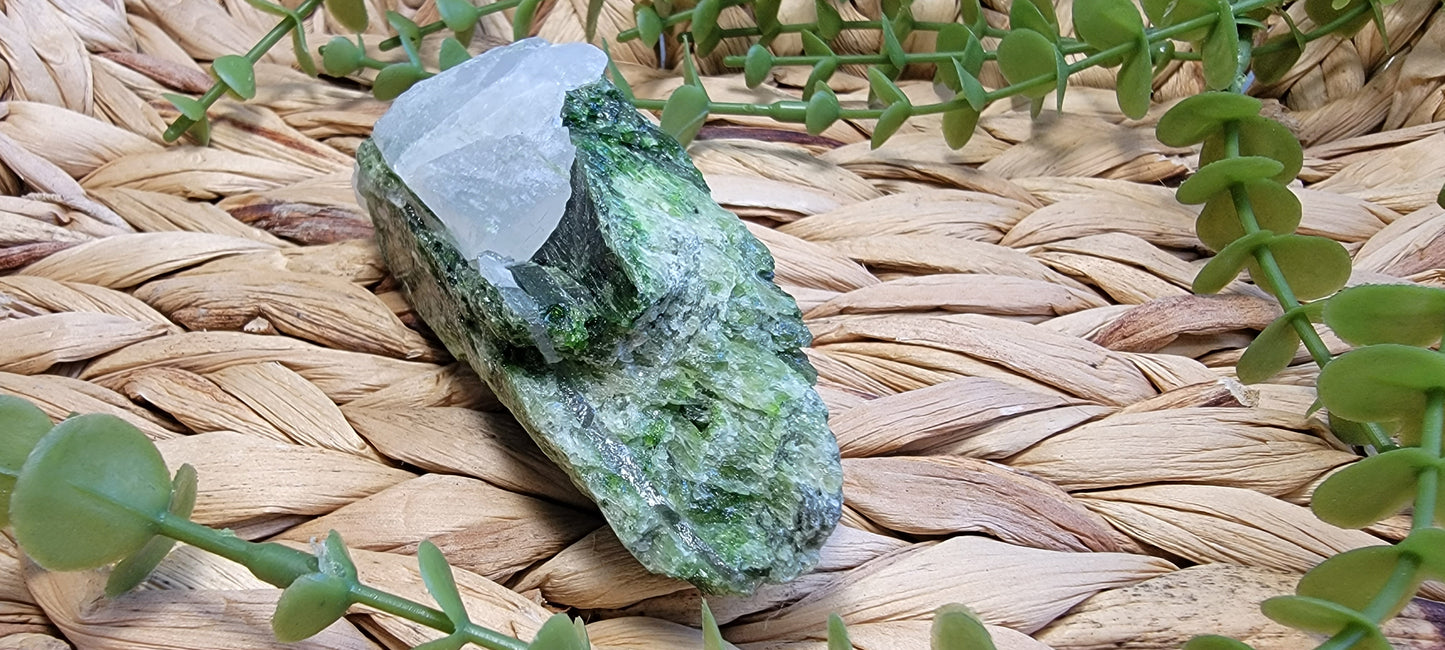 Diopside Specimen Bayside Treasures