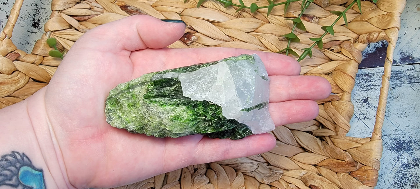 Diopside Specimen Bayside Treasures