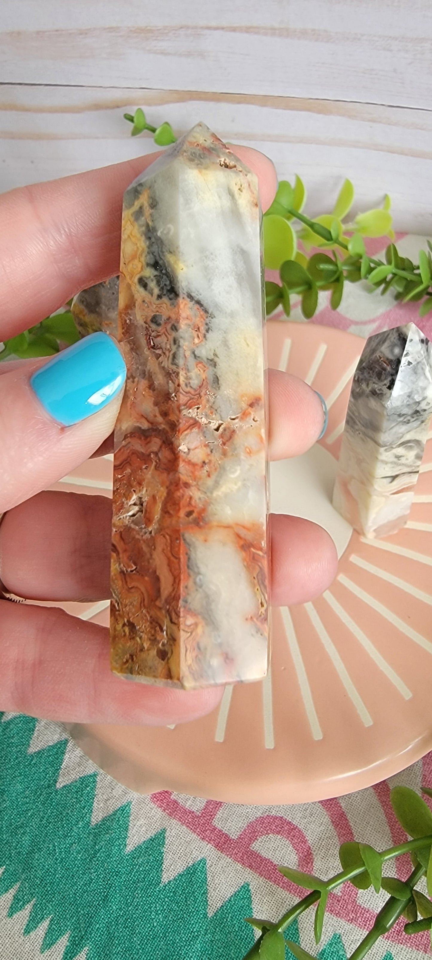 Crazy Lace Agate Bayside Treasures